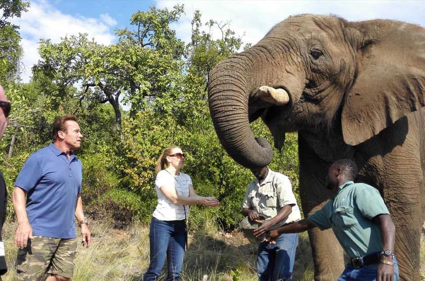 Elephant Sanctuary