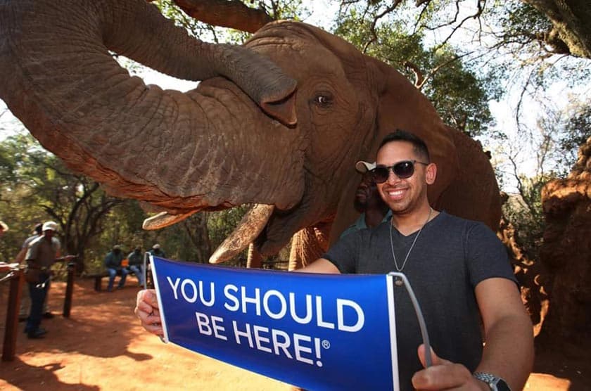 Elephant Sanctuary - Image 4