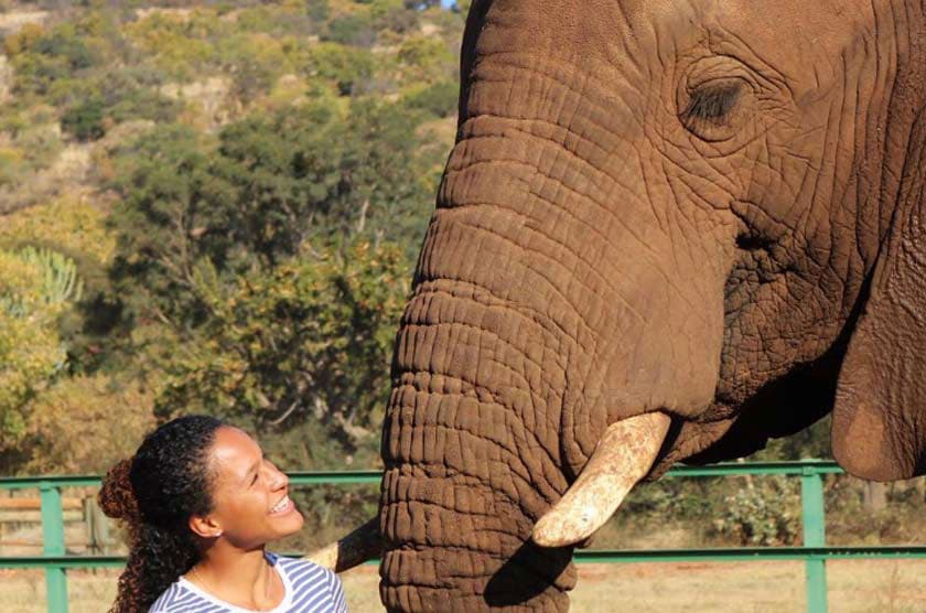 Elephant Sanctuary - Image 5