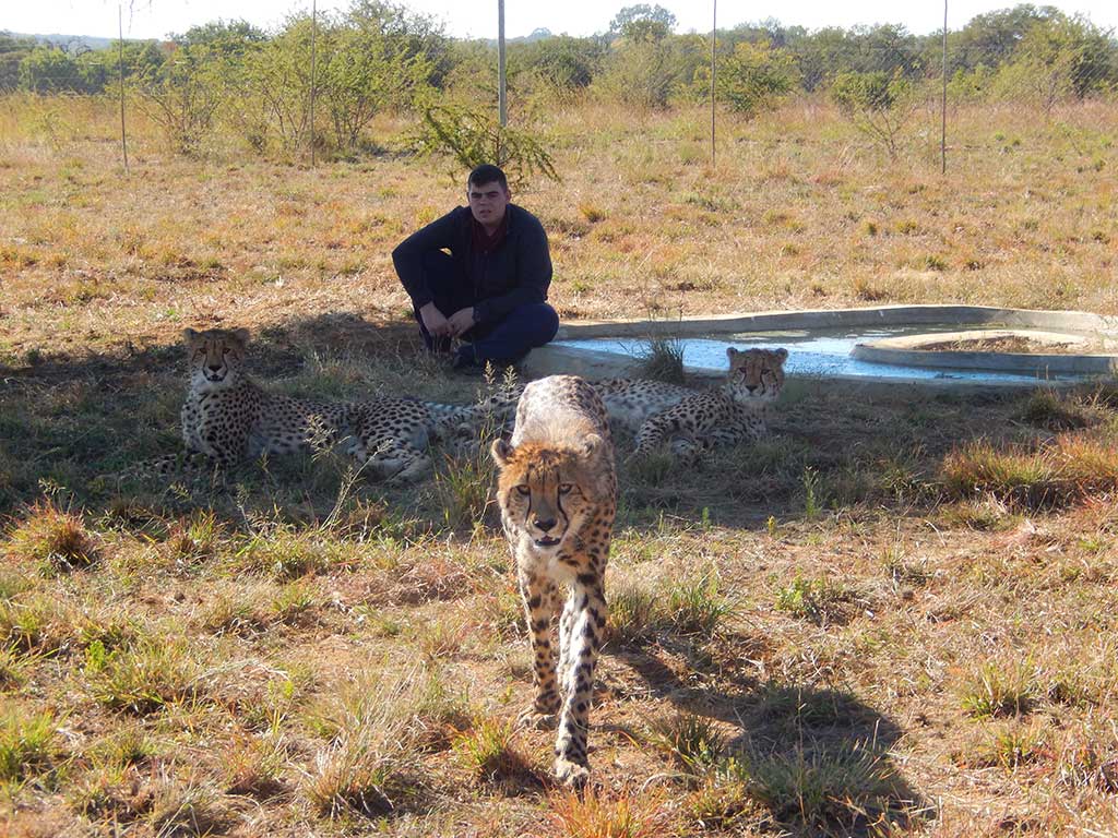 Lion and Cheetah Sanctuary - Image 5