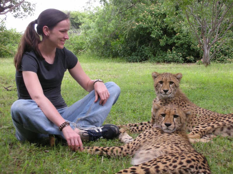 Lion and Cheetah Sanctuary - Image 6