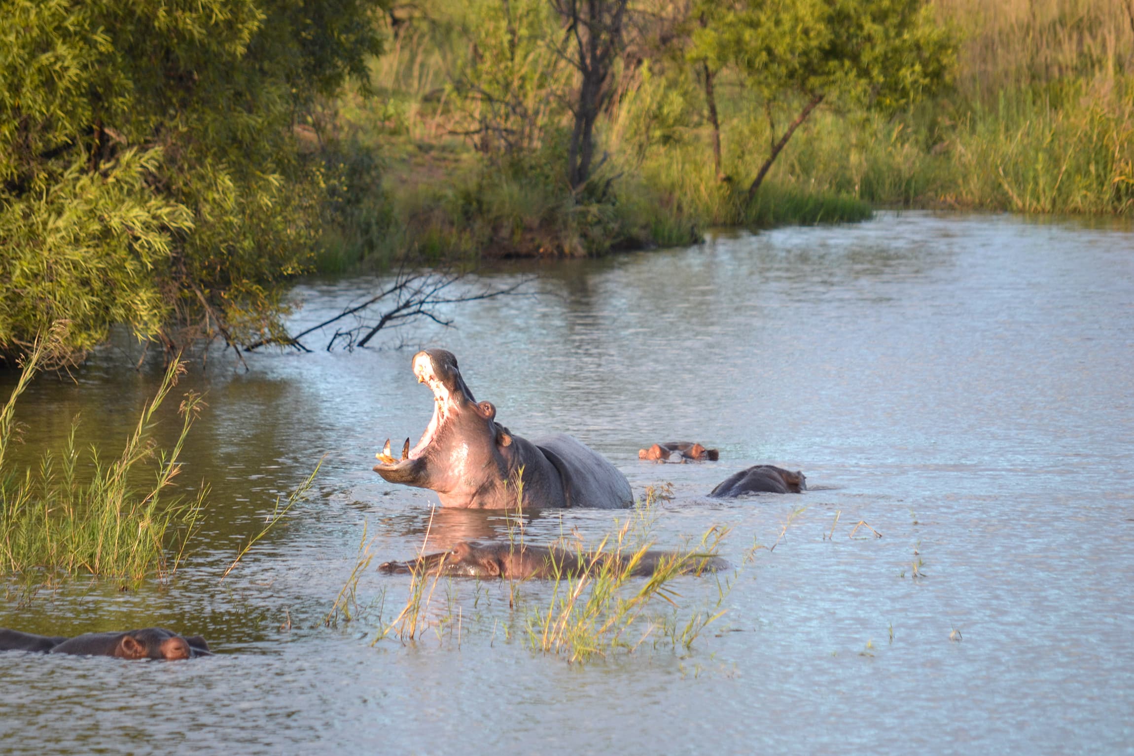 Mabula Lodge - Image 5