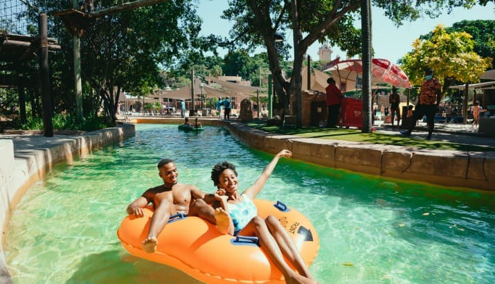 Sun City Tour - Gallery image 3