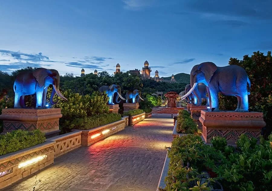 Sun City Tour - Image 6