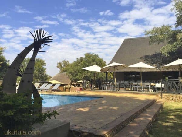 Ukuthula Lion Walk - Gallery image 2
