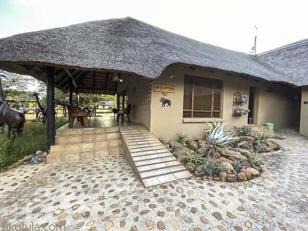 Ukuthula Lion Walk - Gallery image 3