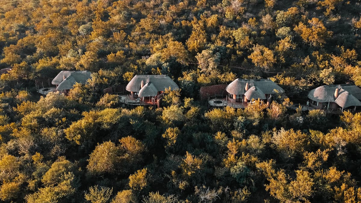 Madikwe Game Park Wildlife Experience - Main safari experience