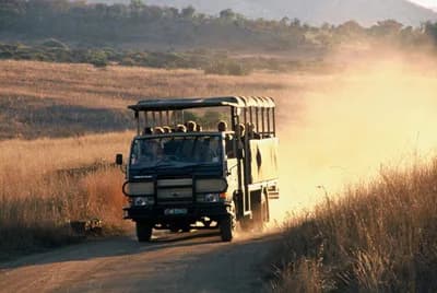 Pilanesberg Game Park Wildlife Experience - Image 4