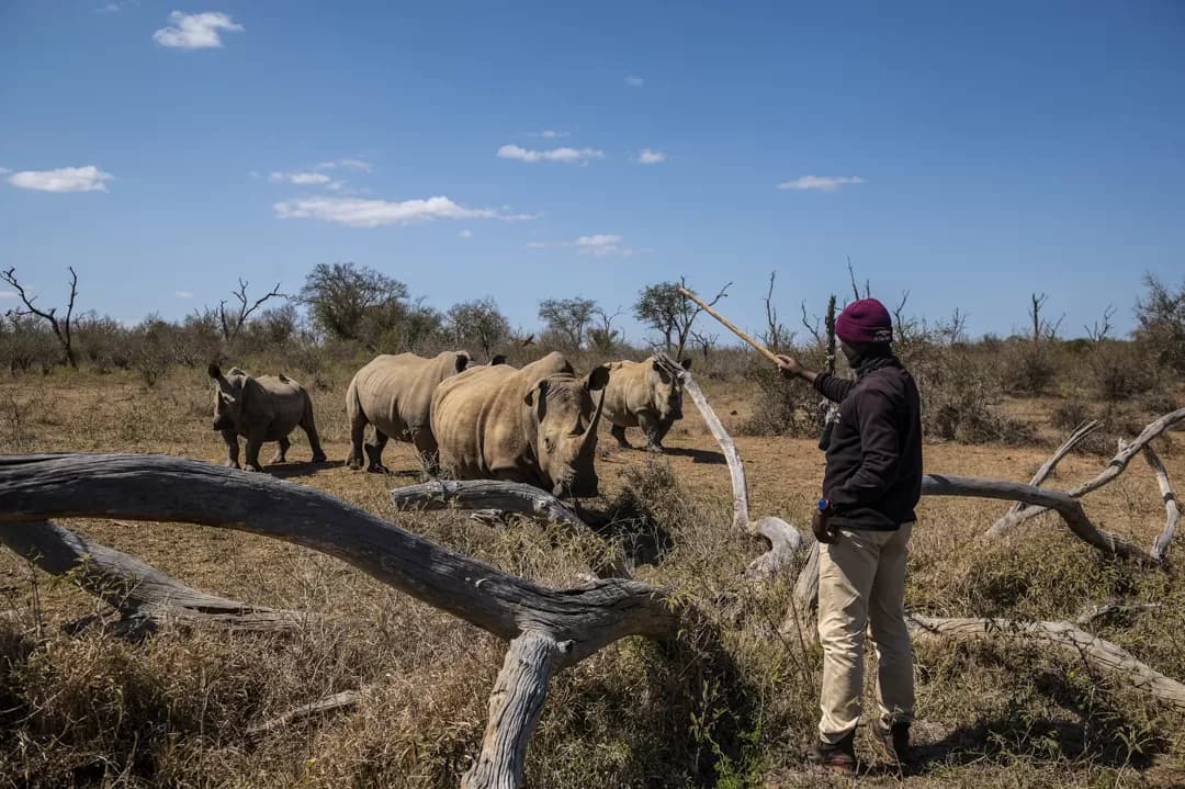 Triland Route Experience - Main safari experience