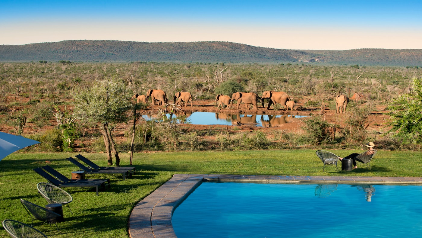 Madikwe Game Park Wildlife Experience - Wildlife Safari experience in Madikwe Game Park