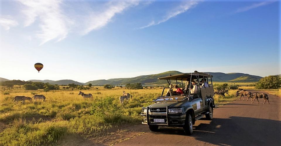 Pilanesberg Game Park Wildlife Experience - Wildlife Safari experience in Pilanesberg Game Park